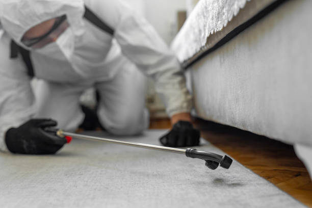 Professional Termite Control technician working in Ringwood, NJ