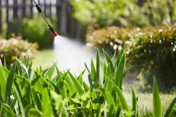 24/7 Emergency Termite Control experts in Ringwood, NJ