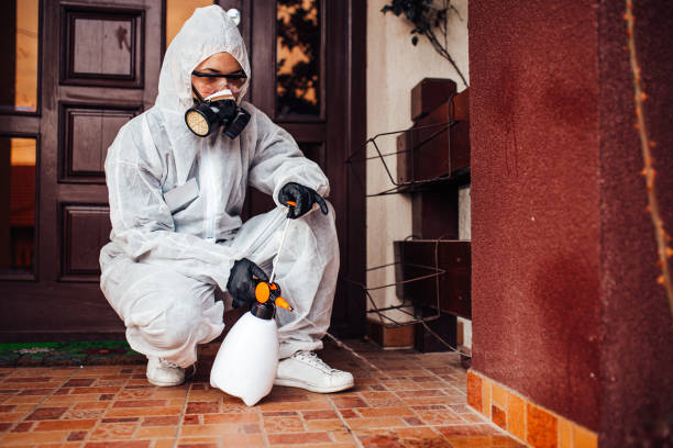Reliable Termite Control contractor in Ringwood, NJ by Nex Pest Control