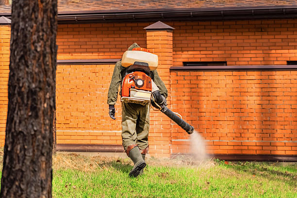 Trusted Bed Bug Control service in Ringwood, NJ - Nex Pest Control